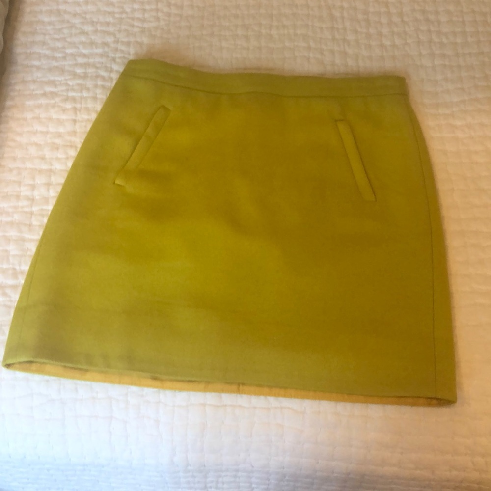 J. Crew Factory skirt